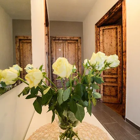 Center 3* Пула